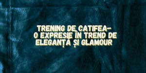 Read more about the article Trening de catifea- o expresie, în trend, de eleganță și glamour