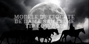Read more about the article Modele de ciocate de damă sau cizme tip cowboy