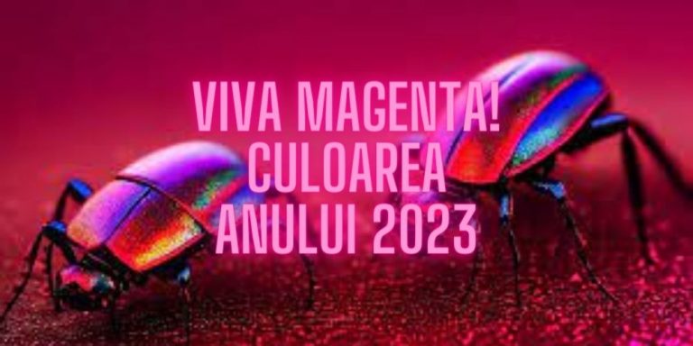 Read more about the article Viva Magenta! Culoarea anului 2023